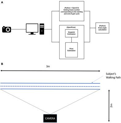 Development of a Robust, Simple, and Affordable Human Gait Analysis System Using Bottom-Up Pose Estimation With a Smartphone Camera